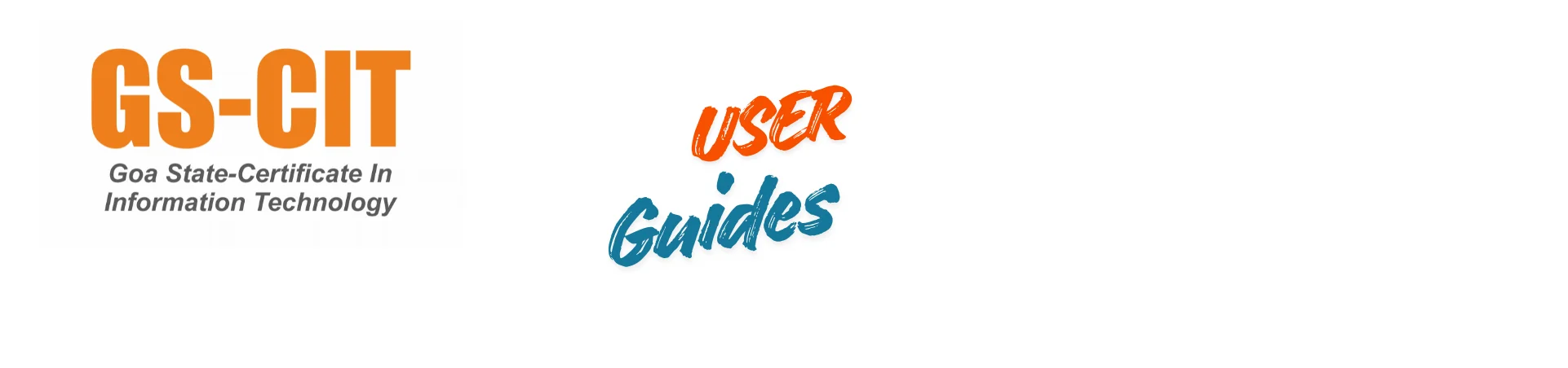 GS-CIT User Guide